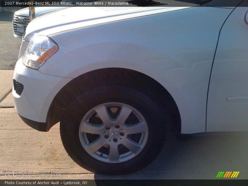 Alabaster White / Macadamia 2007 Mercedes-Benz ML 350 4Matic