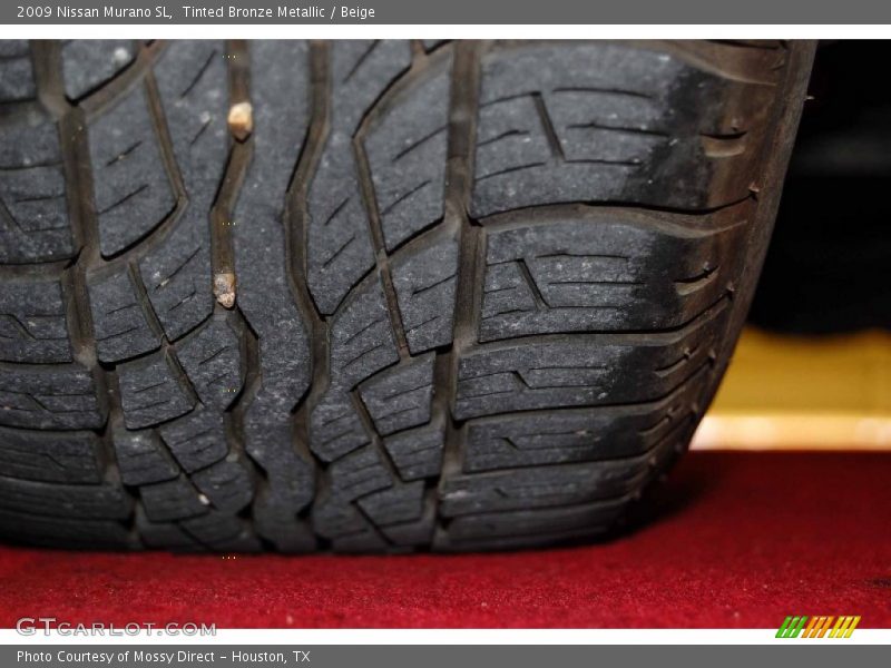 Tinted Bronze Metallic / Beige 2009 Nissan Murano SL