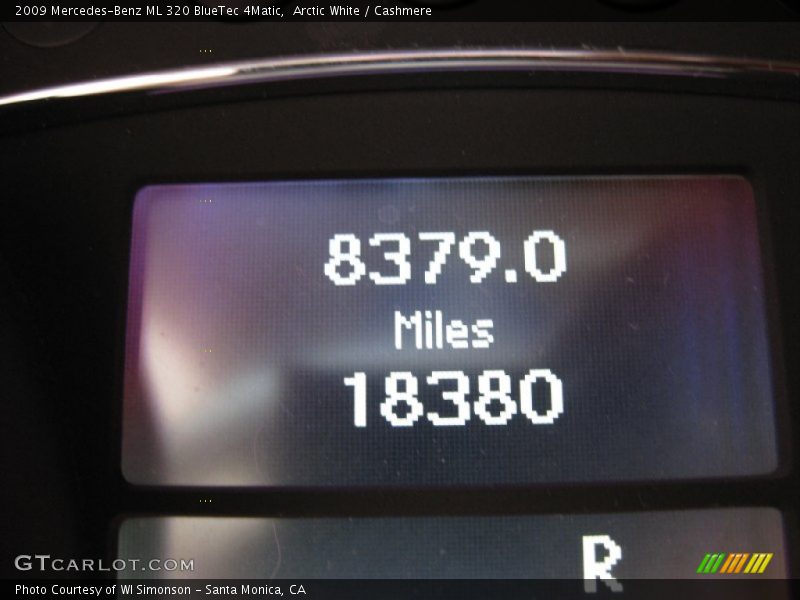 Arctic White / Cashmere 2009 Mercedes-Benz ML 320 BlueTec 4Matic