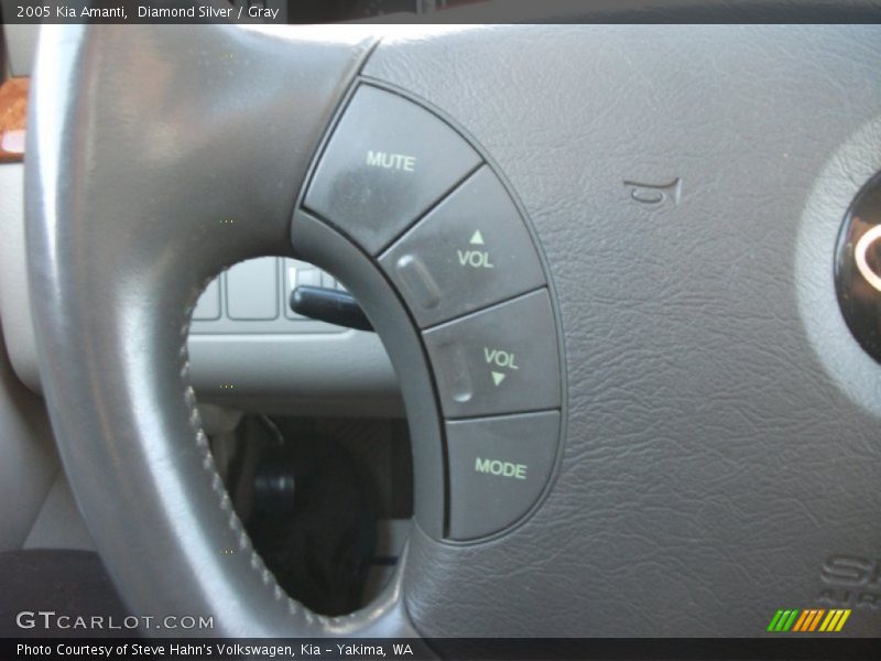 Diamond Silver / Gray 2005 Kia Amanti