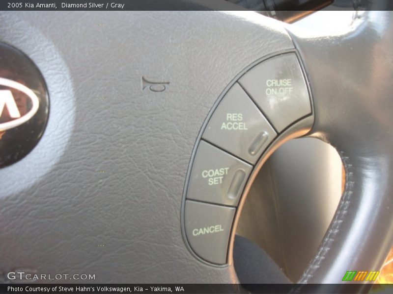 Diamond Silver / Gray 2005 Kia Amanti