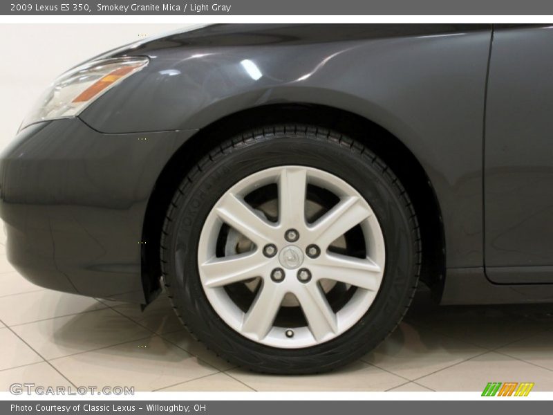 Smokey Granite Mica / Light Gray 2009 Lexus ES 350