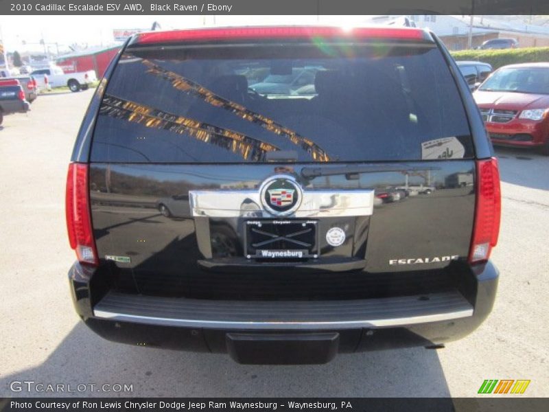 Black Raven / Ebony 2010 Cadillac Escalade ESV AWD