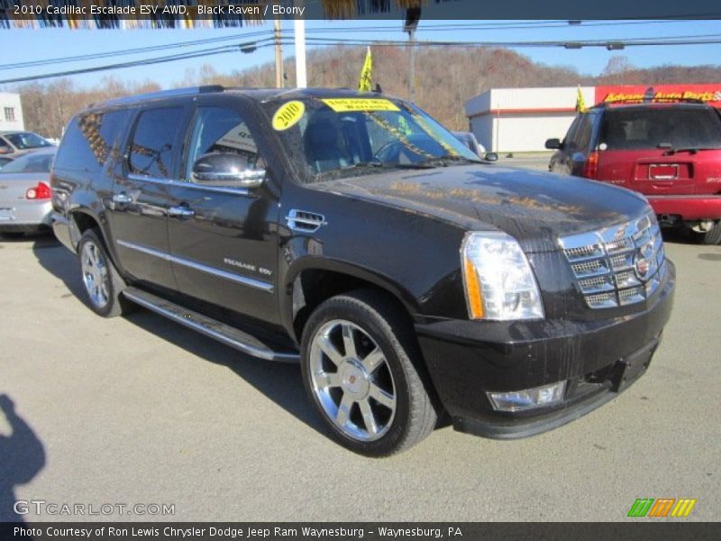 Black Raven / Ebony 2010 Cadillac Escalade ESV AWD
