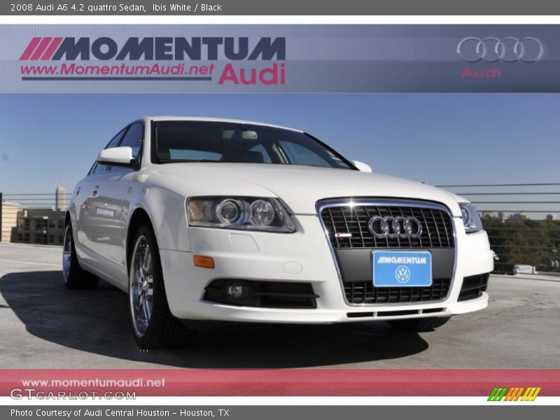 Ibis White / Black 2008 Audi A6 4.2 quattro Sedan