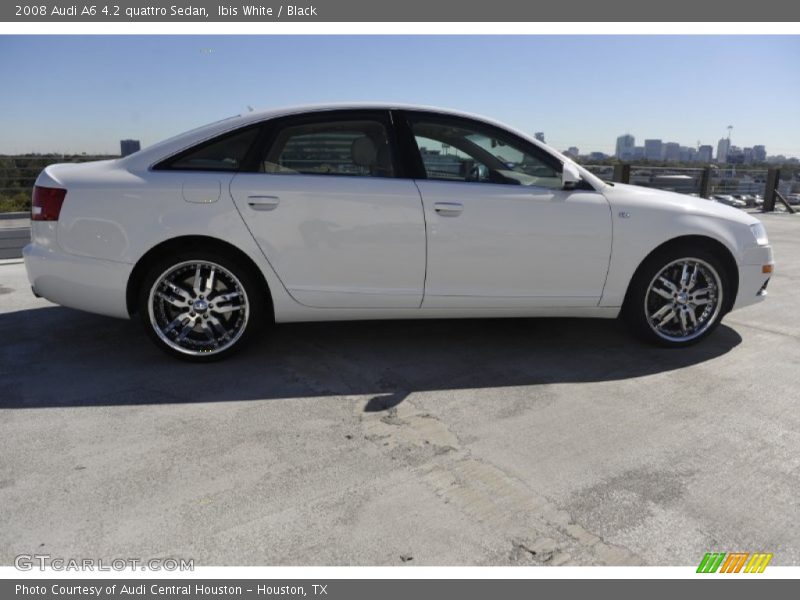 Ibis White / Black 2008 Audi A6 4.2 quattro Sedan