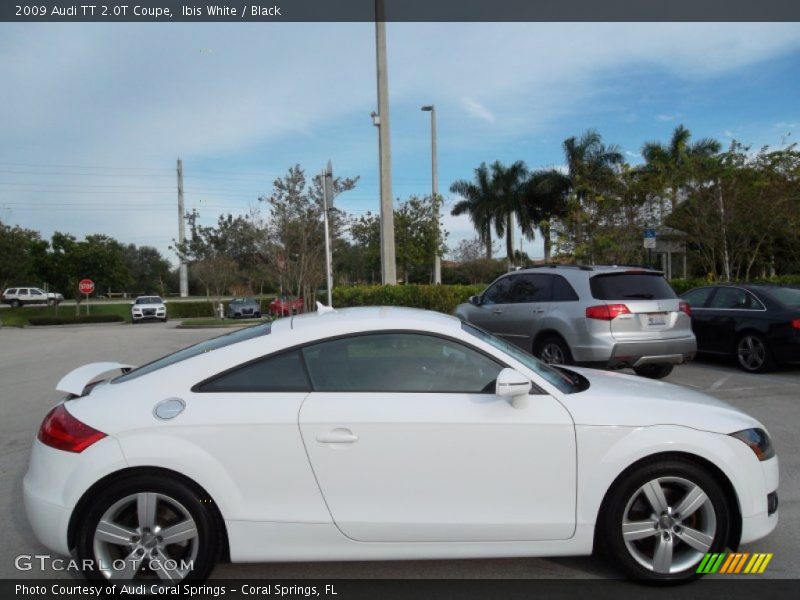  2009 TT 2.0T Coupe Ibis White