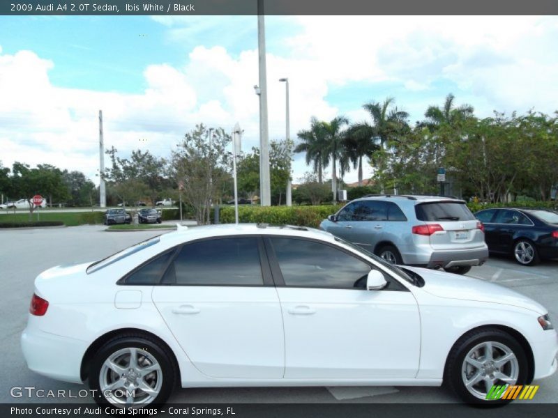 Ibis White / Black 2009 Audi A4 2.0T Sedan