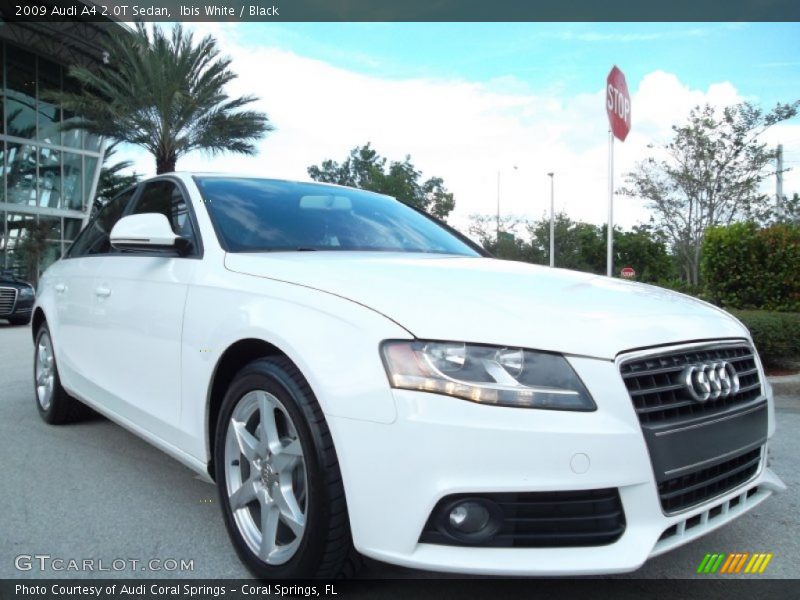 Ibis White / Black 2009 Audi A4 2.0T Sedan