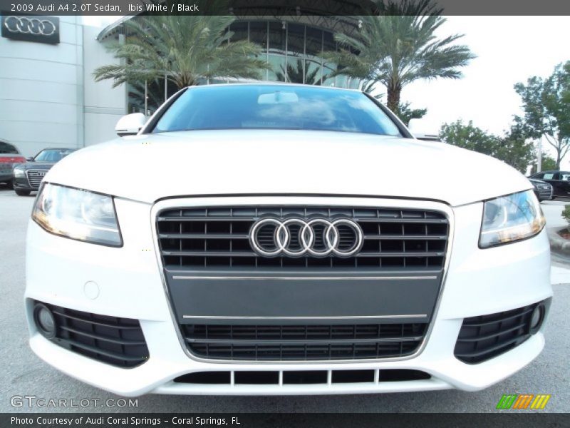 Ibis White / Black 2009 Audi A4 2.0T Sedan