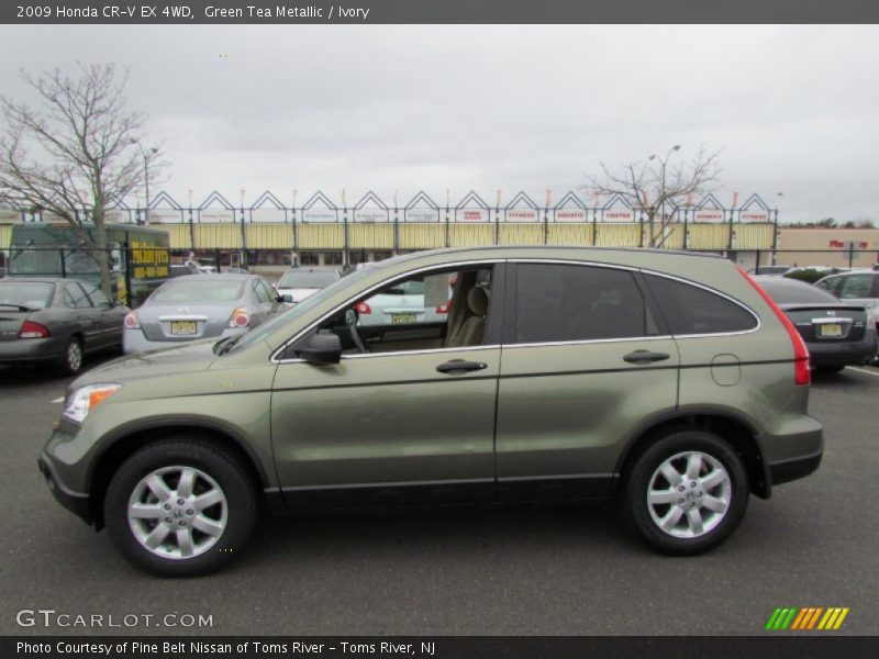 Green Tea Metallic / Ivory 2009 Honda CR-V EX 4WD