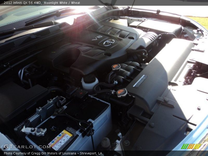 Moonlight White / Wheat 2012 Infiniti QX 56 4WD
