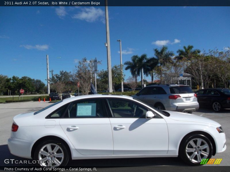 Ibis White / Cardamom Beige 2011 Audi A4 2.0T Sedan