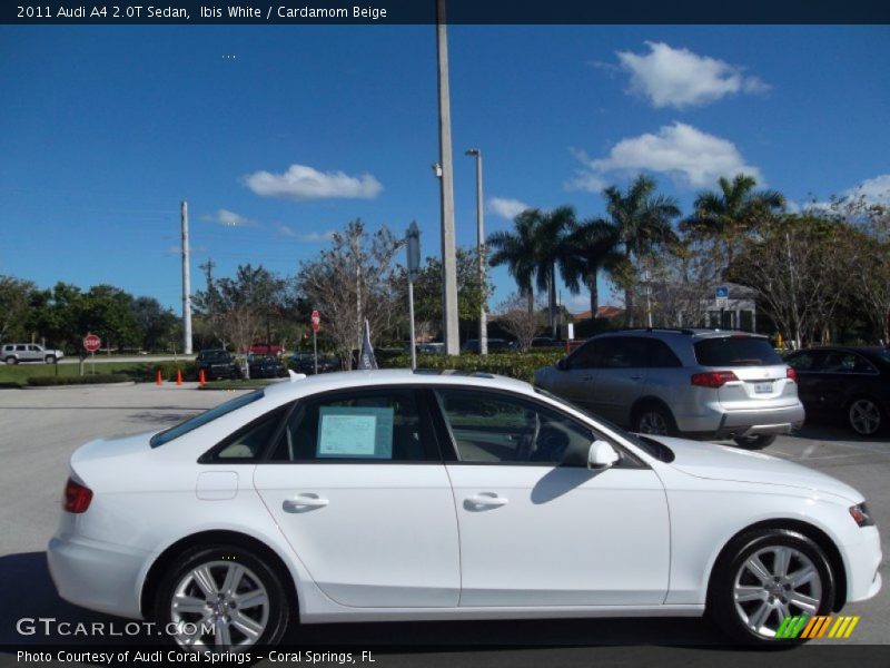 Ibis White / Cardamom Beige 2011 Audi A4 2.0T Sedan