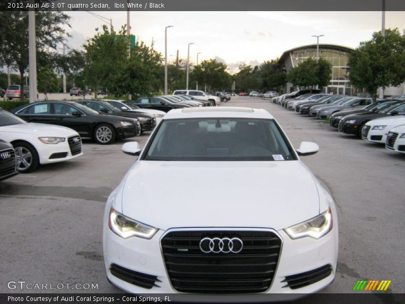 Ibis White / Black 2012 Audi A6 3.0T quattro Sedan
