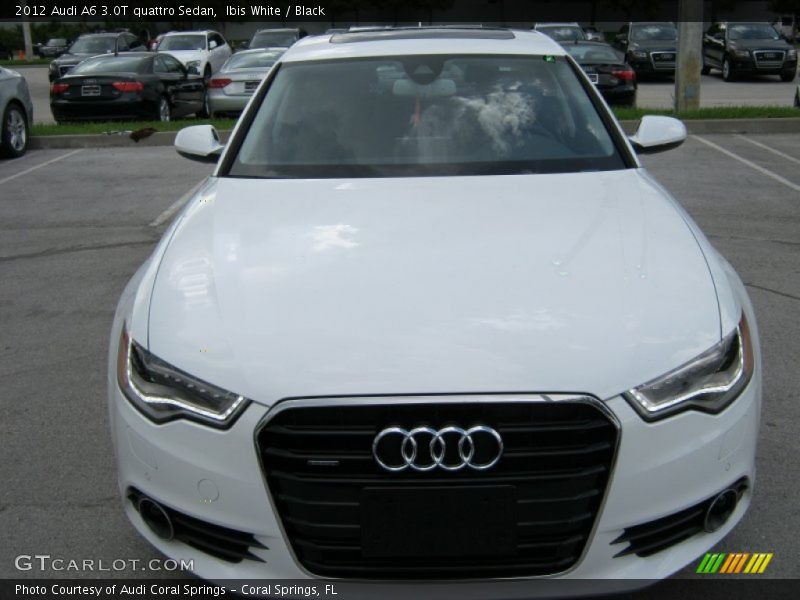 Ibis White / Black 2012 Audi A6 3.0T quattro Sedan