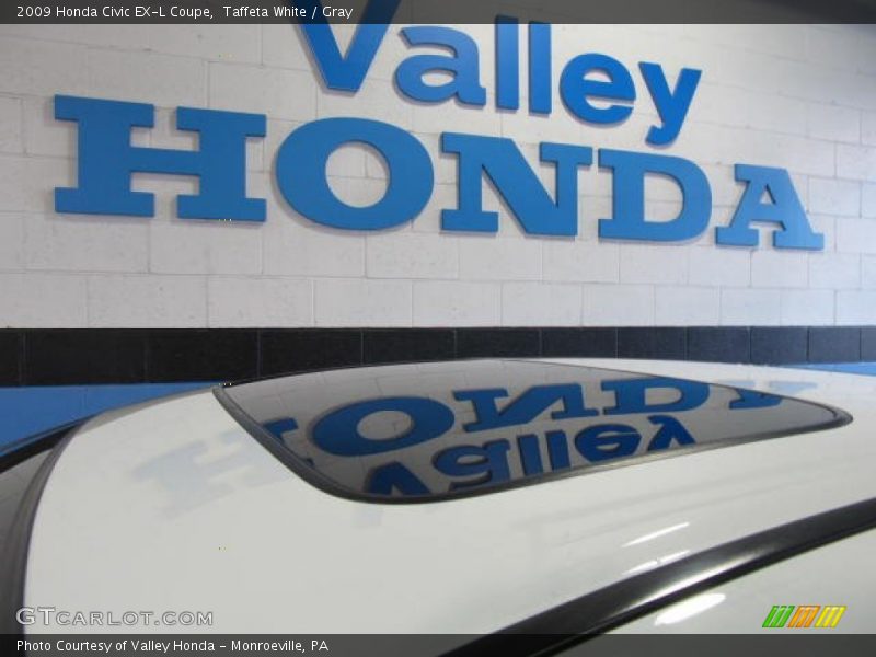 Taffeta White / Gray 2009 Honda Civic EX-L Coupe