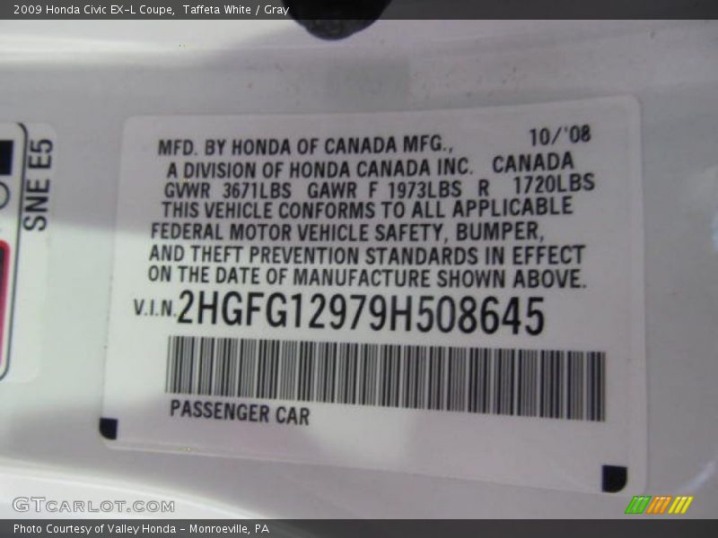 Taffeta White / Gray 2009 Honda Civic EX-L Coupe