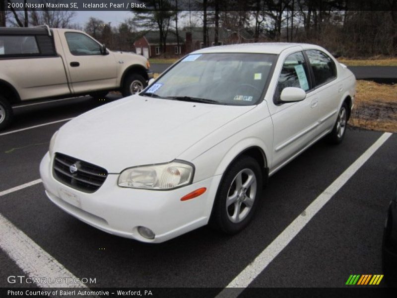 Icelandic Pearl / Black 2000 Nissan Maxima SE