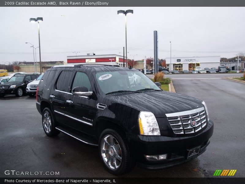Black Raven / Ebony/Ebony 2009 Cadillac Escalade AWD