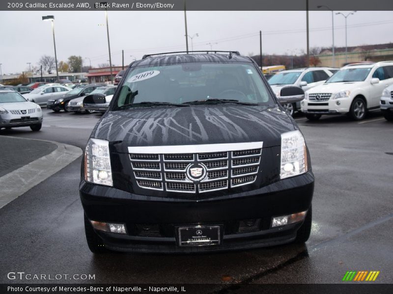 Black Raven / Ebony/Ebony 2009 Cadillac Escalade AWD