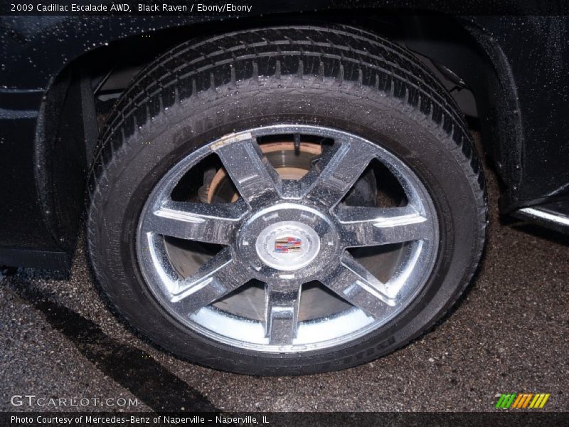 Black Raven / Ebony/Ebony 2009 Cadillac Escalade AWD