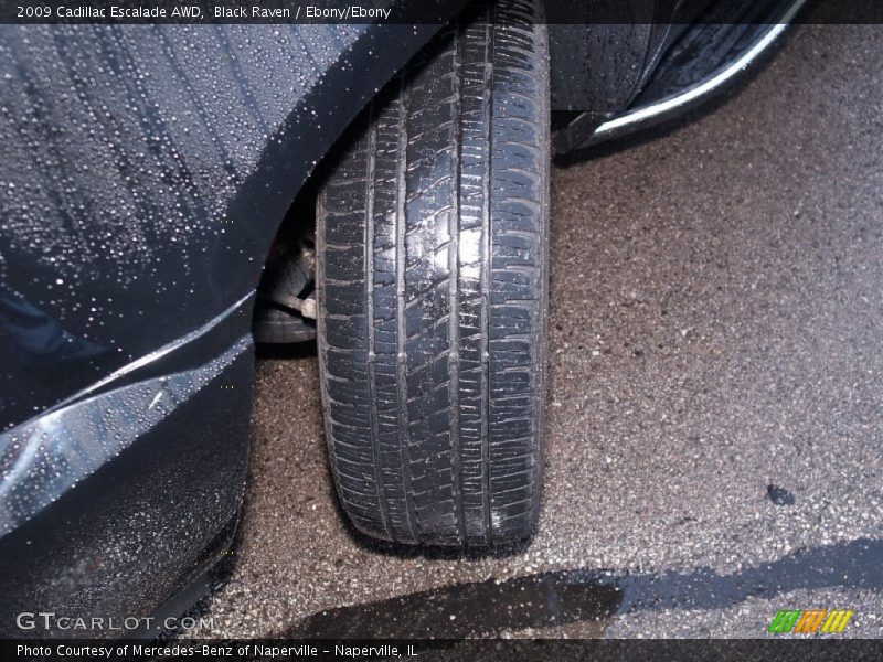 Black Raven / Ebony/Ebony 2009 Cadillac Escalade AWD