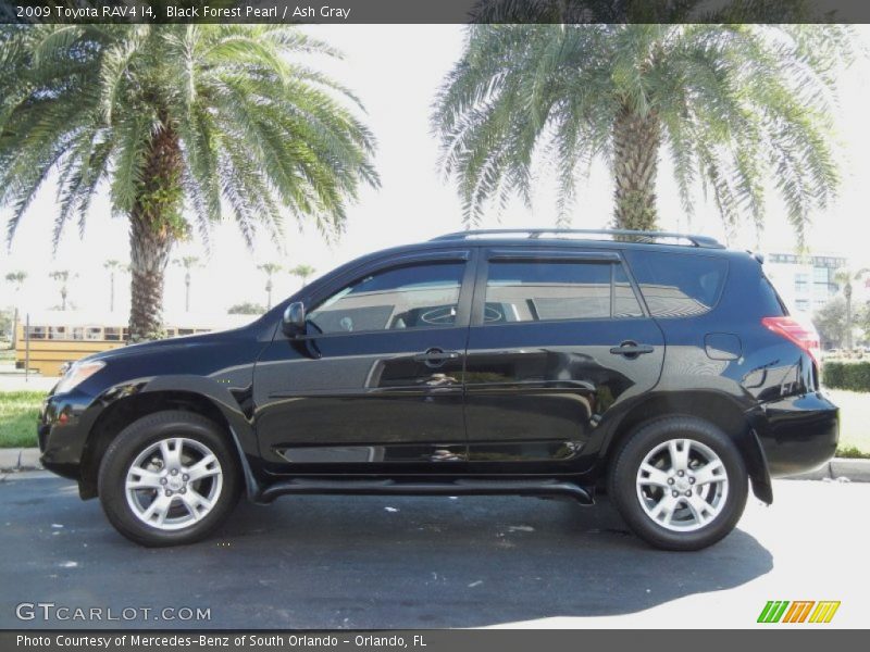 Black Forest Pearl / Ash Gray 2009 Toyota RAV4 I4