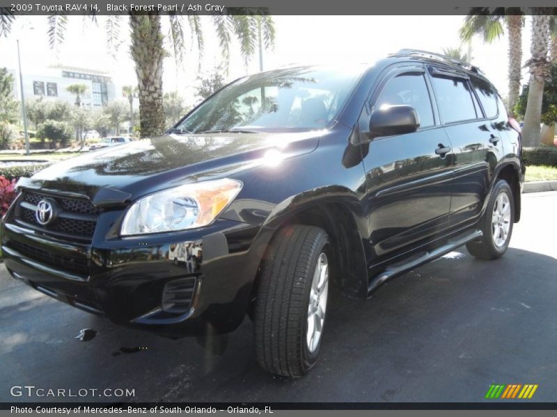 Black Forest Pearl / Ash Gray 2009 Toyota RAV4 I4