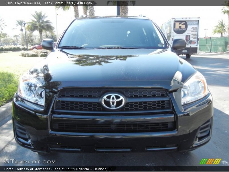 Black Forest Pearl / Ash Gray 2009 Toyota RAV4 I4