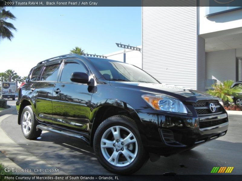 Black Forest Pearl / Ash Gray 2009 Toyota RAV4 I4