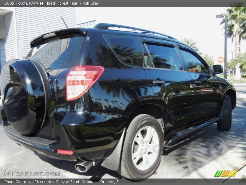 Black Forest Pearl / Ash Gray 2009 Toyota RAV4 I4