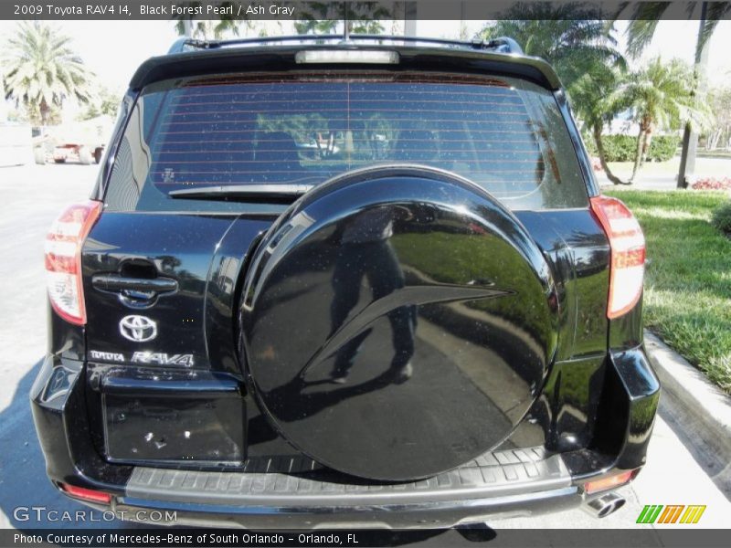 Black Forest Pearl / Ash Gray 2009 Toyota RAV4 I4