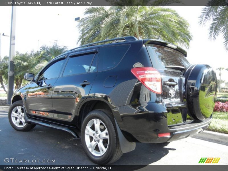 Black Forest Pearl / Ash Gray 2009 Toyota RAV4 I4