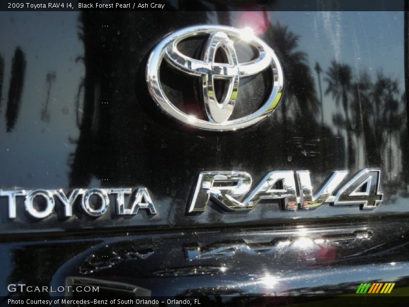 Black Forest Pearl / Ash Gray 2009 Toyota RAV4 I4