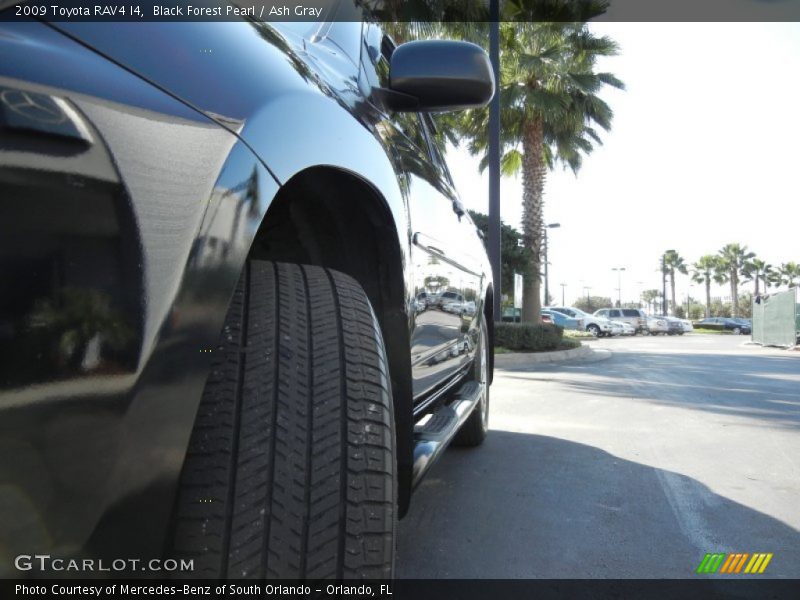 Black Forest Pearl / Ash Gray 2009 Toyota RAV4 I4