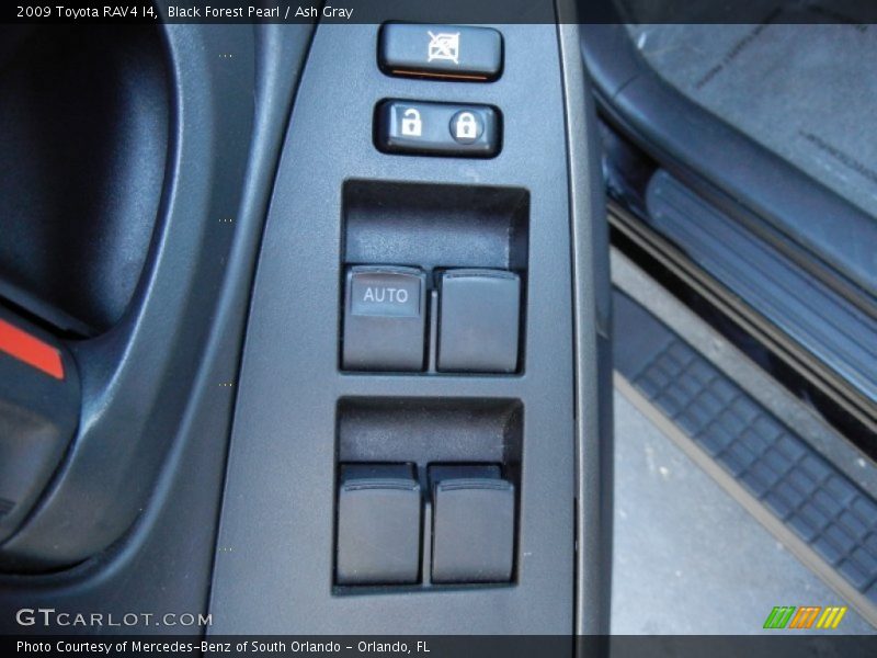 Black Forest Pearl / Ash Gray 2009 Toyota RAV4 I4