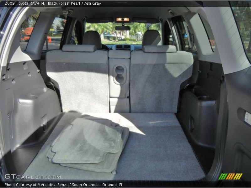 Black Forest Pearl / Ash Gray 2009 Toyota RAV4 I4