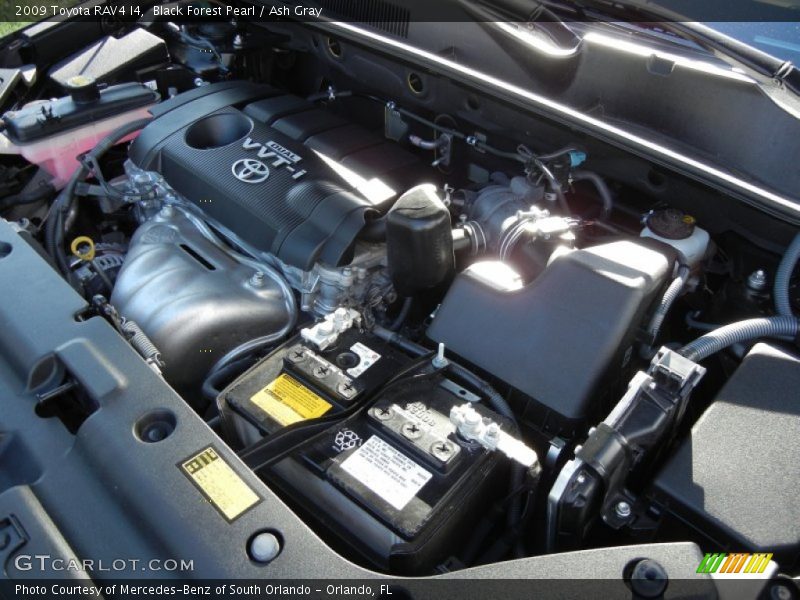 Black Forest Pearl / Ash Gray 2009 Toyota RAV4 I4