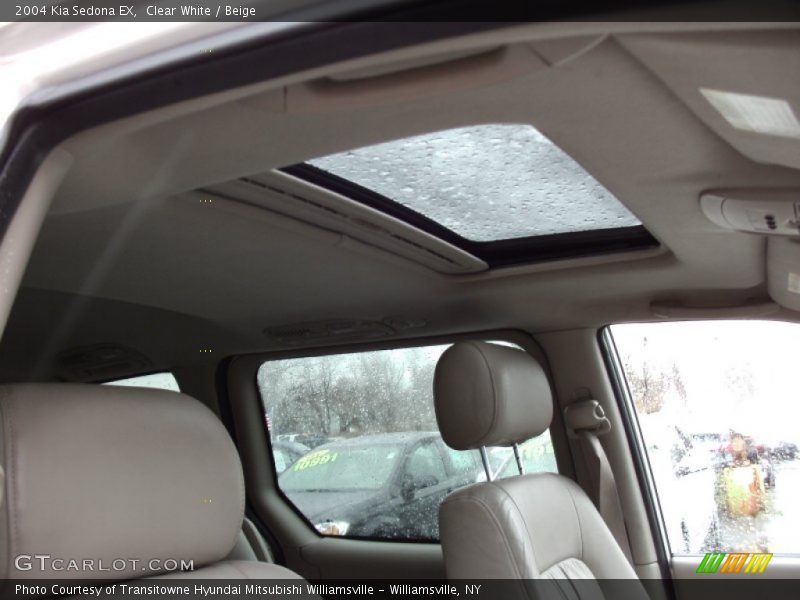 Clear White / Beige 2004 Kia Sedona EX