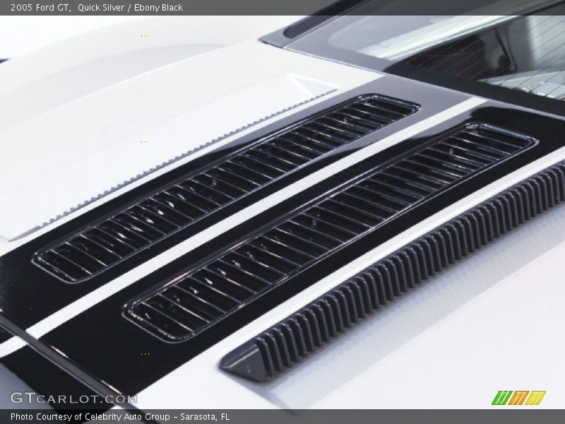 Quick Silver / Ebony Black 2005 Ford GT