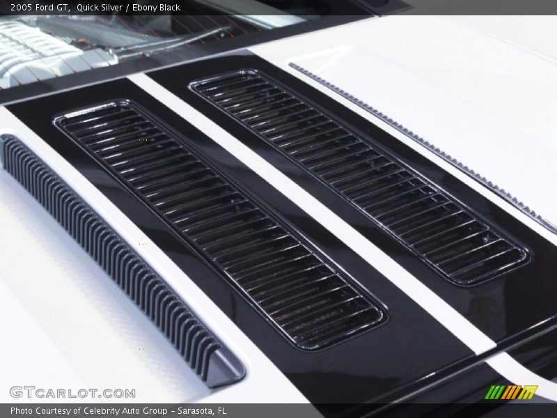 Quick Silver / Ebony Black 2005 Ford GT