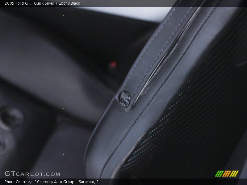 Quick Silver / Ebony Black 2005 Ford GT