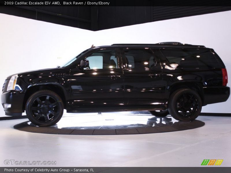 Black Raven / Ebony/Ebony 2009 Cadillac Escalade ESV AWD