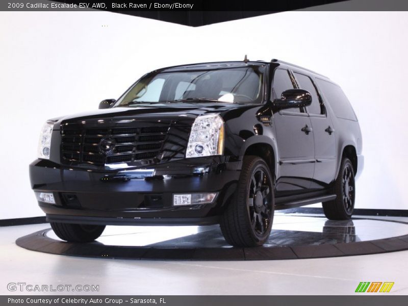 Black Raven / Ebony/Ebony 2009 Cadillac Escalade ESV AWD