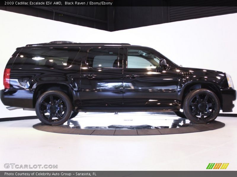 Black Raven / Ebony/Ebony 2009 Cadillac Escalade ESV AWD