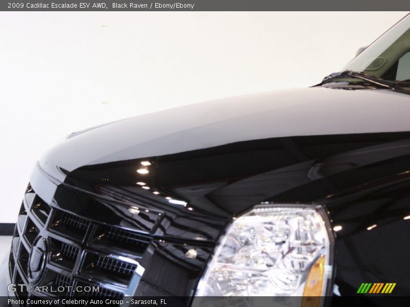 Black Raven / Ebony/Ebony 2009 Cadillac Escalade ESV AWD