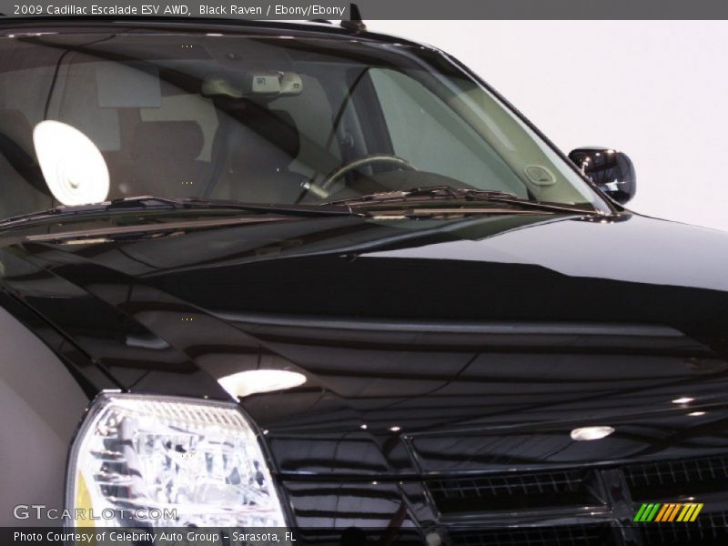 Black Raven / Ebony/Ebony 2009 Cadillac Escalade ESV AWD