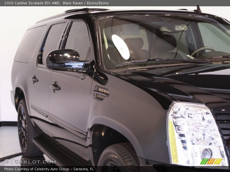 Black Raven / Ebony/Ebony 2009 Cadillac Escalade ESV AWD