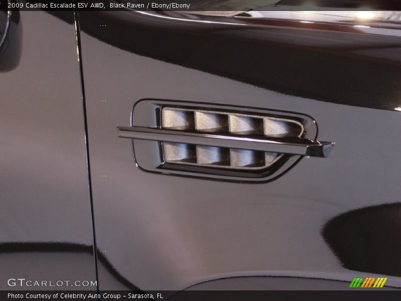 Black Raven / Ebony/Ebony 2009 Cadillac Escalade ESV AWD